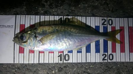 小さなあたりをしっかりと感じて